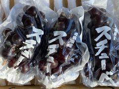 【お試し】葡萄　スチューベン