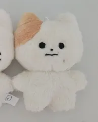 Astro アストロ　ユン　10cm ぬいぐるみ　新品　マスター アストロ Astro チャウヌ 10cm ぬいぐるみ 新品 マスター