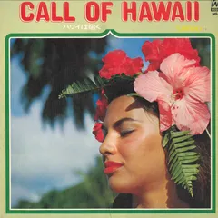 ☆ レア・希少 ☆ LP レコード　ハワイ　HOLIDAY IN HAWAII 2025年最新】ハワイアンレコードの人気アイテム - メルカリ