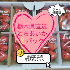 栃木県直送 とちあいか 平詰め8パック【クール便】 - メルカリ