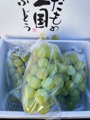 R様専用！クール便！感謝祭❗️化粧箱入❗️送料無料❗️家庭用　岡山県産　シャインマスカット　2〜3房
