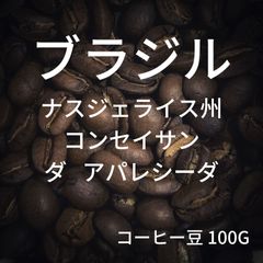 【ブラジル ミナスジェライス州 コンセイサン・ダ・アパレシーダ】コーヒー豆 100g ミディアムロースト