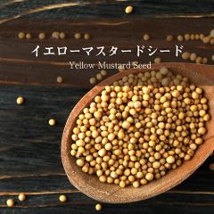イエロー マスタード シード - Yellow Mustard Seed【500gパック】 Ambika(アンビカ) /
