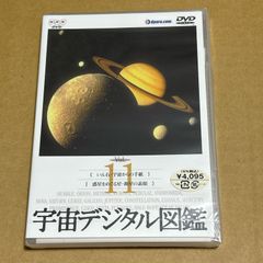 超希少☆エヒラシックス EHIRA K.S.K Ehira-Six 蛇腹式カメラ