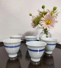 人気高品質時代 煎茶道具 平安竹泉 三浦竹泉 作 染付 青花 花文 茶壷 茶入 時代箱 初荷 骨董 古玩 古美術品 古道具 DE132 茶道具