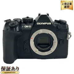 2024年最新】om-d e-m1 mark ii ボディの人気アイテム - メルカリ