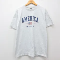 XL/古着 フルーツオブザルーム 半袖 ビンテージ Tシャツ メンズ 00s アメリカ 星条旗 クルーネック 薄グレー 霜降り 25may23 中古