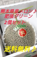 熊本県産メロン　肥後グリーン（3L）2玉セット