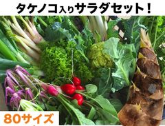 この春最後のタケノコと野菜箱いっぱい詰め合わせセット　採りたて野菜80サイズ