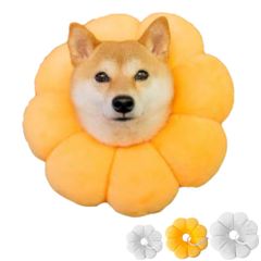 Item thumbnail for item 99ff86aa-e417-4bf6-bf1d-fa2e87f74547