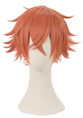 2025年最新】エース・トラッポラ ウィッグの人気アイテム - メルカリ