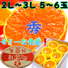 愛媛産【紅まどんな】ゼリーな柑橘類（2L~3L 5-6玉 )約1.5~1.8kg 化粧箱付き ご贈答用に最適