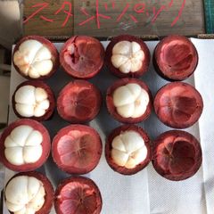 「5月27日入荷、入荷次第出荷」　生鮮 航空便  タイ産 マンゴスチン ネットパック　1箱7.8kg