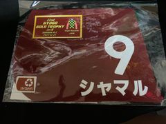 ミニゼッケン