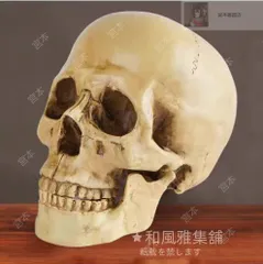大人気売れ筋商品！頭蓋骨模型 本物と同じくらいのサイズ 人体模型 スカル 置物 インテリア 骨 解剖 医療教育