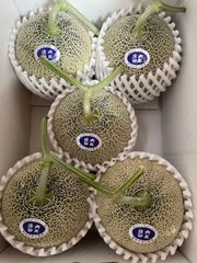 庄内砂丘特産　アンデスメロン　2L5個　家庭用