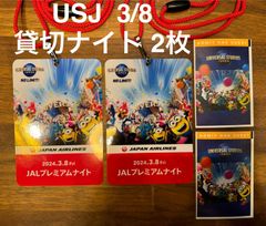 USJ ユニバーサルスタジオジャパン　JALプレミアムナイト3月8日　2枚