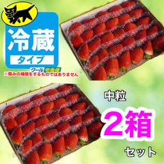 2箱【クール便】愛媛県産新鮮朝採りいちご
