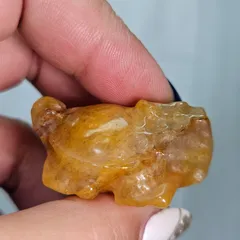 ゴールデンヒーラー✨ロングイ✨カービング✨