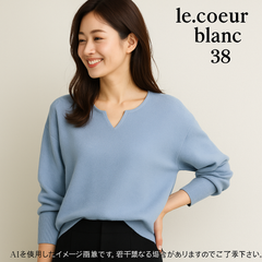 AB0447 le.coeur blanc ニットプルオーバー Vネック ライトブルー 38サイズ 春 秋
