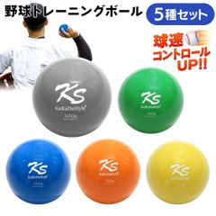 プライオボール5個セット - メルカリ