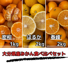 大分県産みかん食べ比べ3種セット/無選別/計5kg送料込