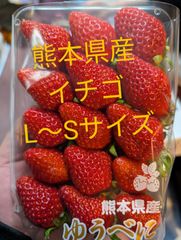 イチゴ　４パック入りのサムネイル