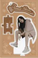 SHIORI TAMAI 12 Colors 玉井詩織 アクリルスタンド 6個 2025年最新