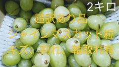 超訳あり品シャインマスカット粒箱込み2キロ