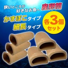 プレコ　産卵　陶器　シェルター　熱帯魚 プレコ 産卵 陶器 シェルター 熱帯魚 魚用品・水草