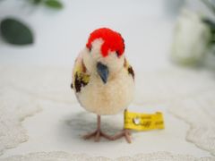 送料無料★シュタイフ★Woolen Bird 8㎝ IDs完品★ぽんぽんバード/アカゲラ風★Steiff