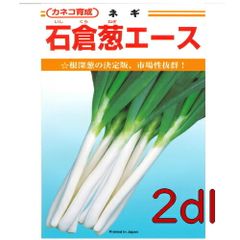 カネコ種苗　石倉葱エース　２ｄｌ