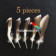 ◾️⭐︎【CF白】キジ 鳥の羽根 フェザー 素材 パーツ ドリームキャッチャー