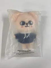 Stray Kids - 新品未開封 SKZOO オリジナル ミニ ぬいぐるみ 2点セット スンミン Stray Kids - 新品未開封 SKZOO オリジナル ミニ ぬいぐるみ 2点