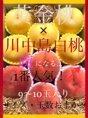 贅沢な詰め合わせ♪ 至極の黄金桃×王様・川中島白桃 アソート！食べ比べに♪