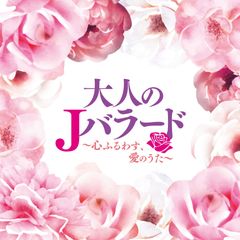 Hanabi様オーダー専用ページ - メルカリ