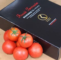 久保さんのフルーツトマト 化粧箱入り１ｋｇ（１４玉～１８玉） 塩トマト　贈答品