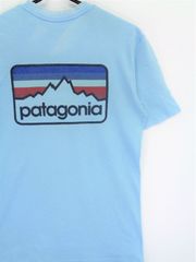 PATAGONIA　パタゴニア　胸元ロゴ　背面ロゴT　XS　T-284