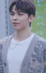 SEVENTEEN UMS会場限定 VERNON 消費期限 東京