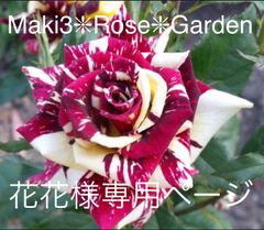花花様専用ページです☆