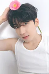 SEVENTEEN 17 IS RIGHT HERE WONWOO トレーディングカード DEAR