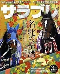 2026年最新】名馬風の王の人気アイテム - メルカリ