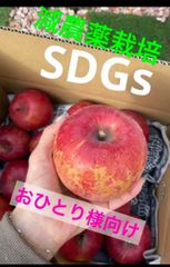 減農薬栽培山形県東根市産　りんごの王道　ふじ　小中玉以上訳あり　2キロ箱満タン