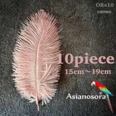 ◾️⭐︎【ORs10cameo】10本15-19cm オーストリッチ フェザー 羽根