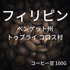 【フィリピン ベンゲット Kapitako ウォッシュ】コーヒー豆 100g ミディアムロースト