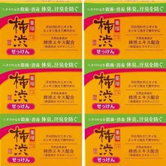 100g×6個セット　薬用渋柿せっけん　固形せっけん　熊野油脂