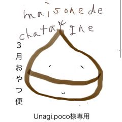 Unagi.poco様専用　おやつ便　シフォンケーキサンド　チーズケーキ　テリーヌ