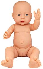 Item thumbnail for item ff363ea8-fc78-41cd-8846-94a7f03fc6aa