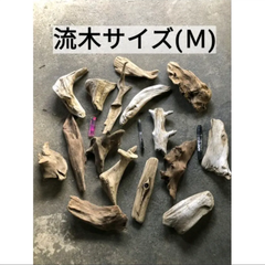 南信州産 天然流木 いろいろ流木 アソート【１０個セット】【サイズM】 格安まとめ売り