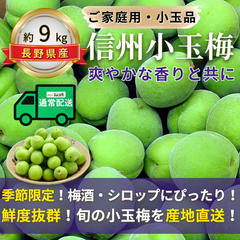 信州小玉梅 ～爽やかな香りと共に～【内容量】約9kg【配送方法】通常配送【サイズ】L以下【品目】梅（うめ）【品種】当店お任せ【産地】長野県【規格】ご家庭用A品B品混合【詰め方】バラ詰め【配送までの日数】1～4日